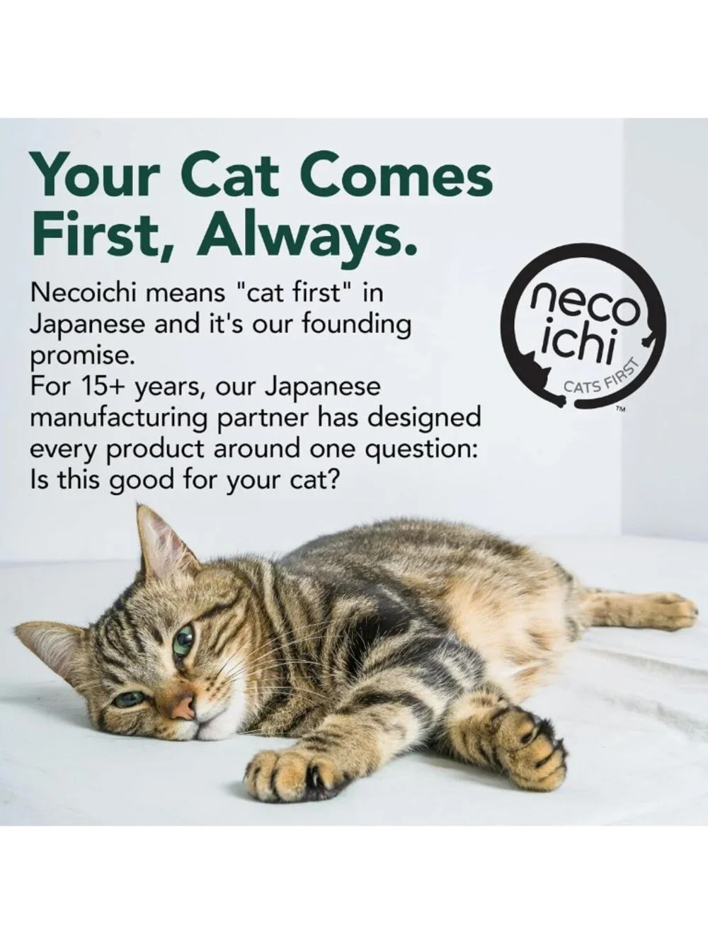 Cat Couch Scratch Protector Sheets - Adhesive Shields & Safeguard for Furniture
